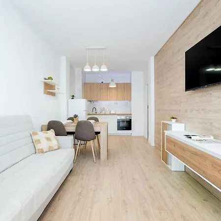 아파트 Gases 1br Penthouse 또레비에하