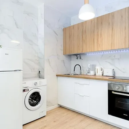 Gases 1br Penthouse * Τορεβιέχα